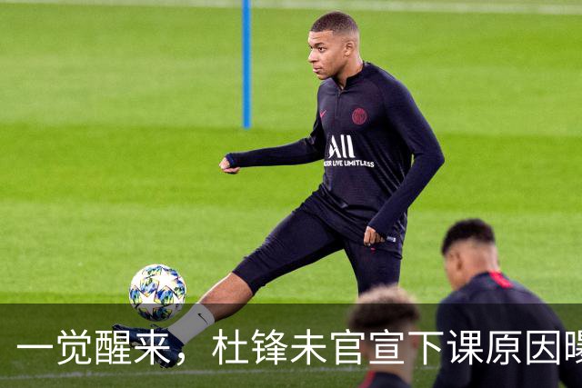 一觉醒来，杜锋未官宣下课原因曝光！徐杰确定留队，陈家政好消息