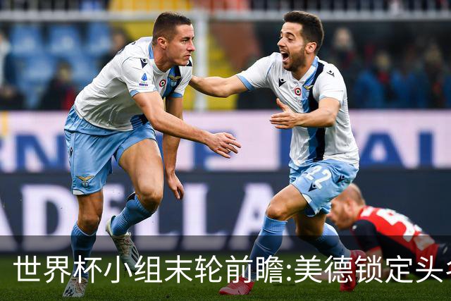 世界杯小组末轮前瞻:美德锁定头名 F组3队混战