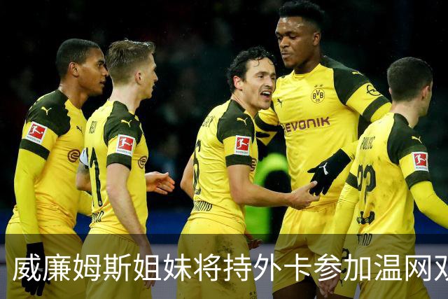 威廉姆斯姐妹将持外卡参加温网双打比赛